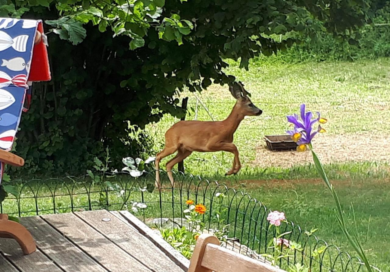 Bed And Breakfast Trnje Pivka Zewnętrze zdjęcie
