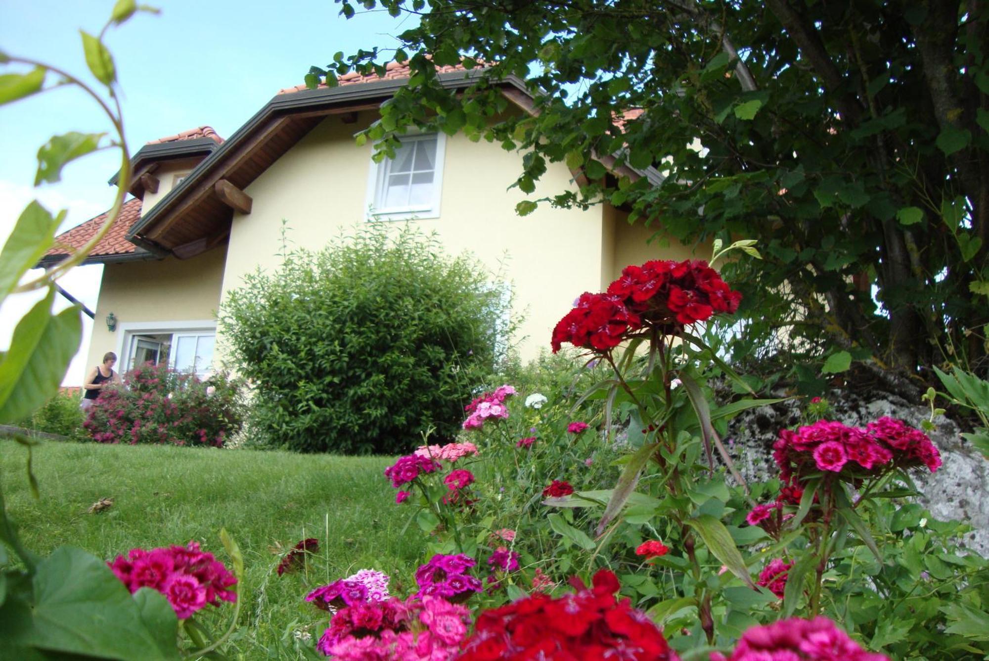 Bed And Breakfast Trnje Pivka Zewnętrze zdjęcie