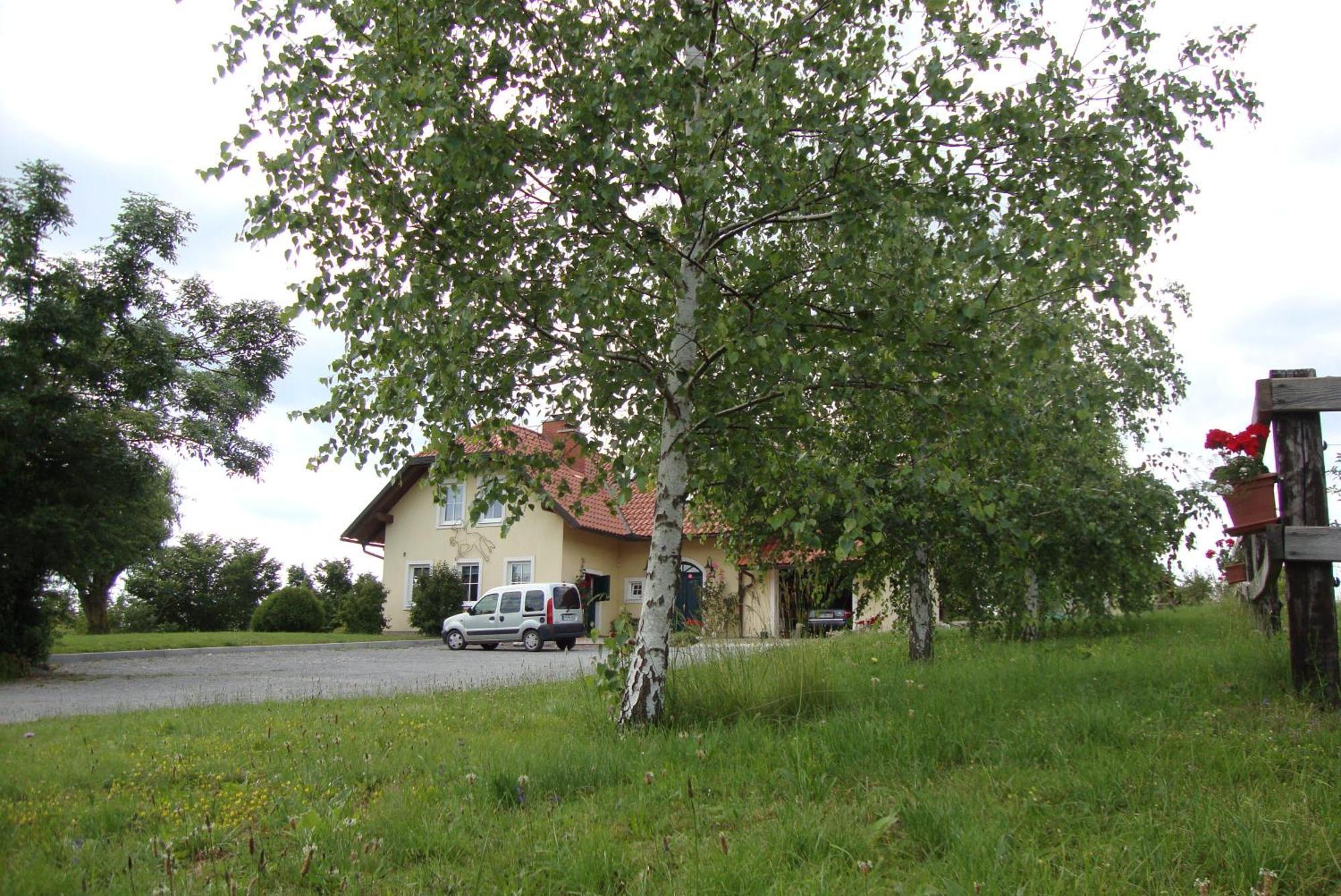 Bed And Breakfast Trnje Pivka Zewnętrze zdjęcie