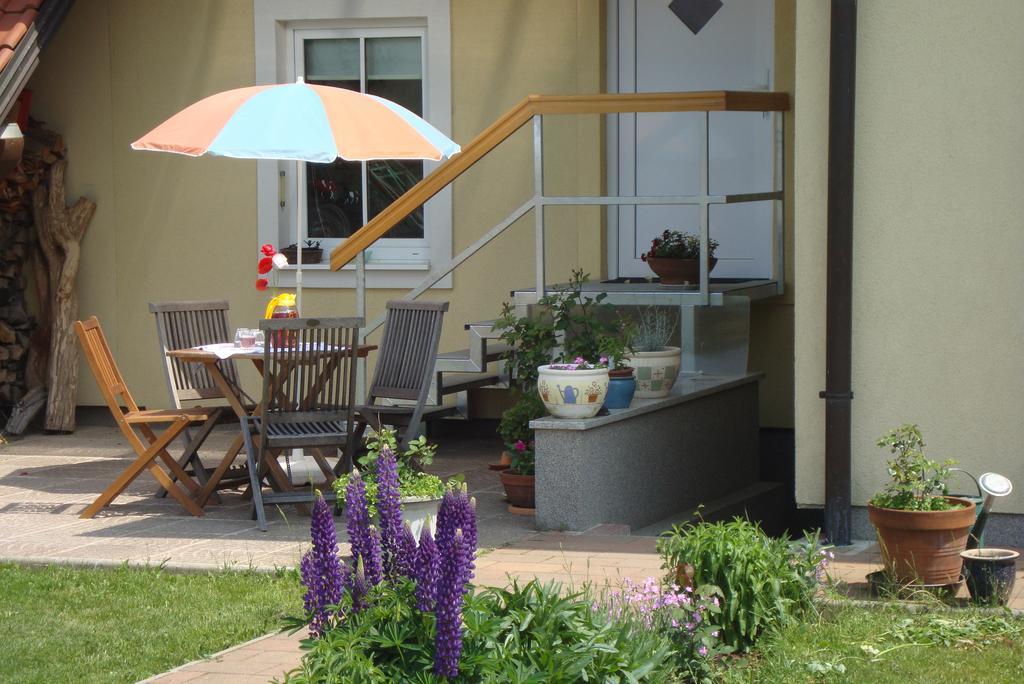 Bed And Breakfast Trnje Pivka Zewnętrze zdjęcie