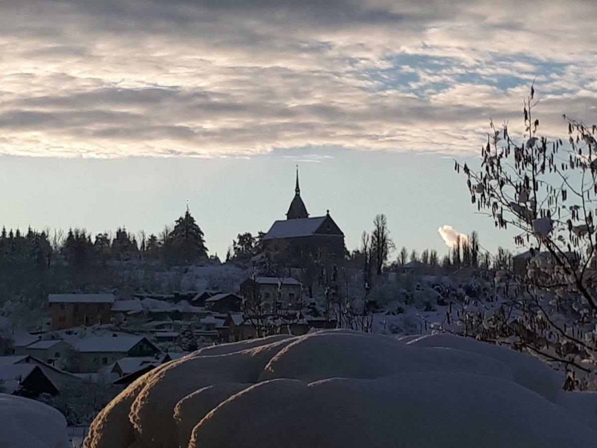Bed And Breakfast Trnje Pivka Zewnętrze zdjęcie