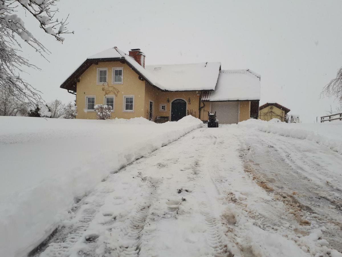 Bed And Breakfast Trnje Pivka Zewnętrze zdjęcie